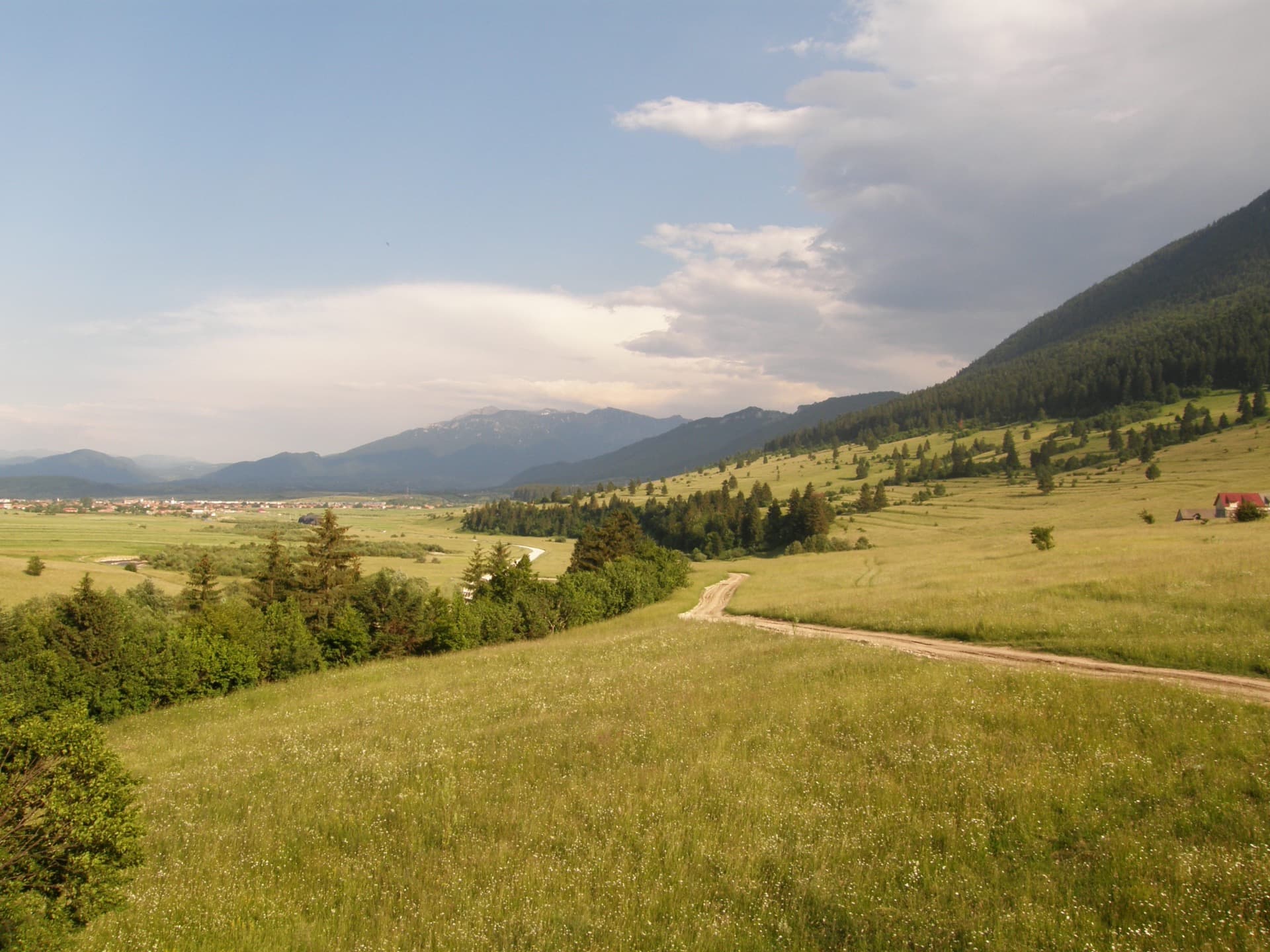 The Bear Sanctuary