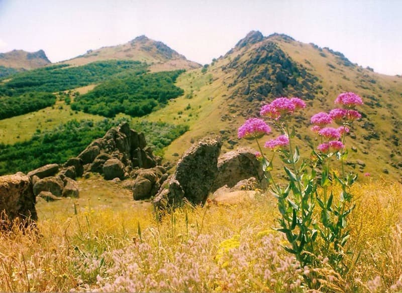 Măcin Mountains National Park