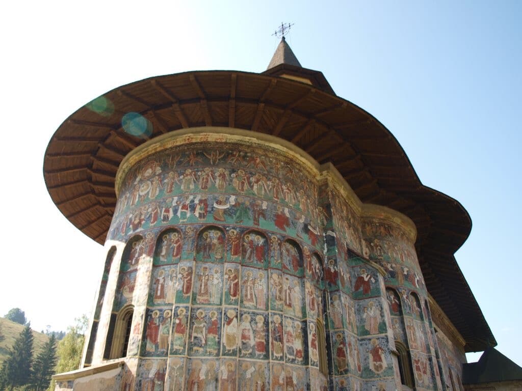 sucevita