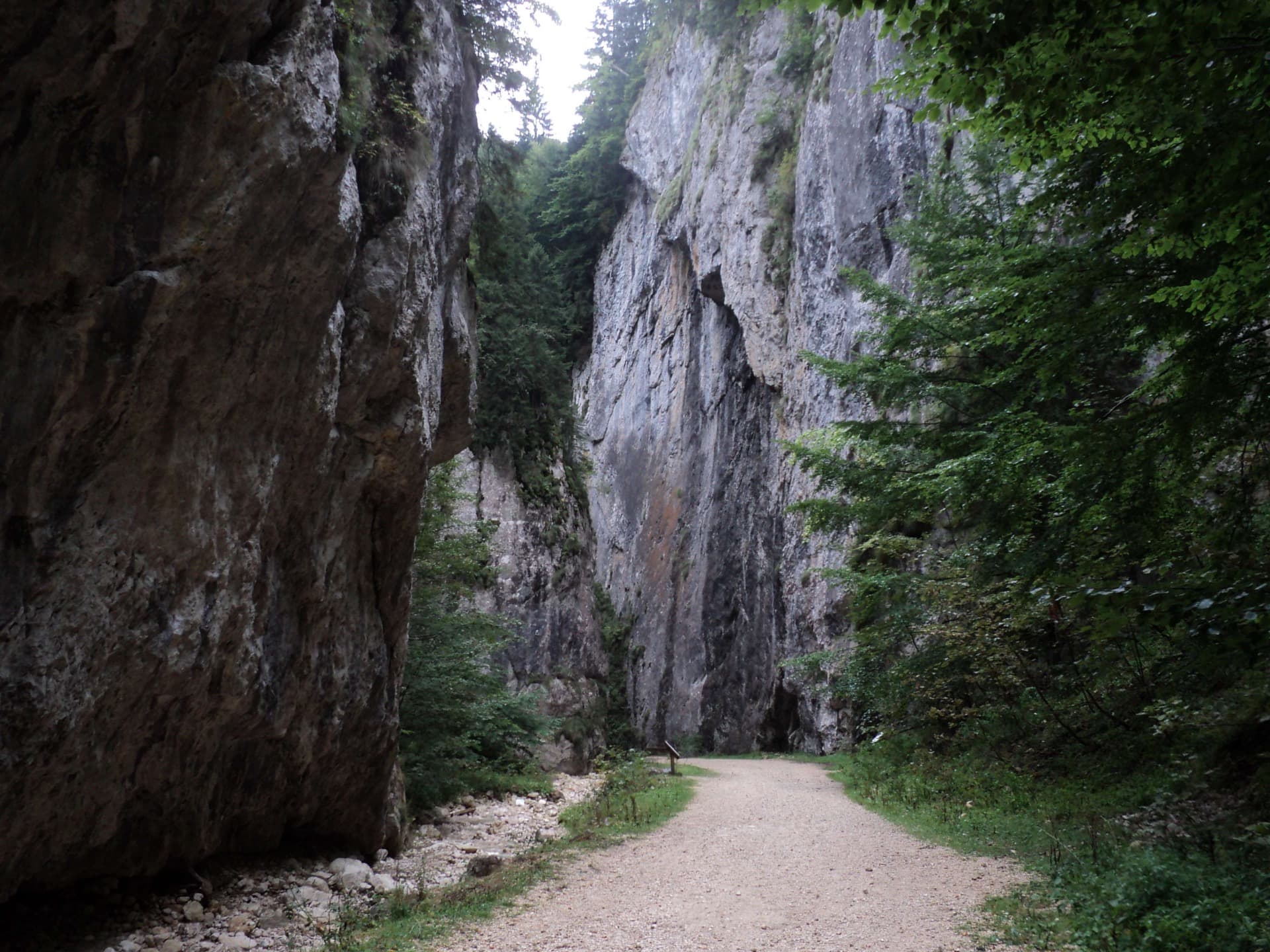 Piatra Craiului Mountains