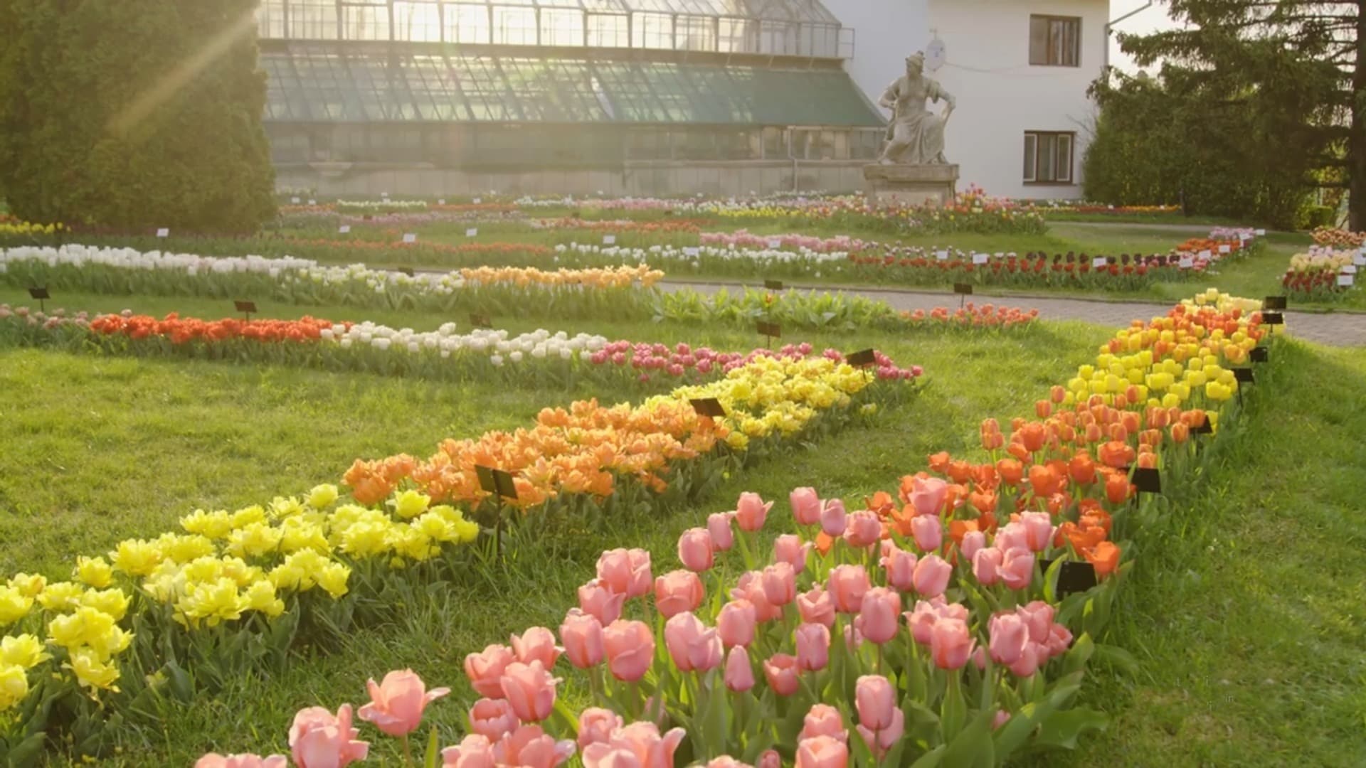 Alexandru Borza Botanical Garden
